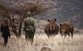 Elewana Lewa Safari Camp